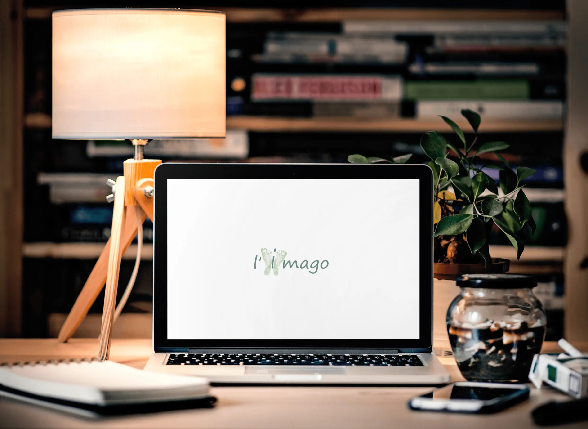 L'IMAGO REFLEXO — visuel 2