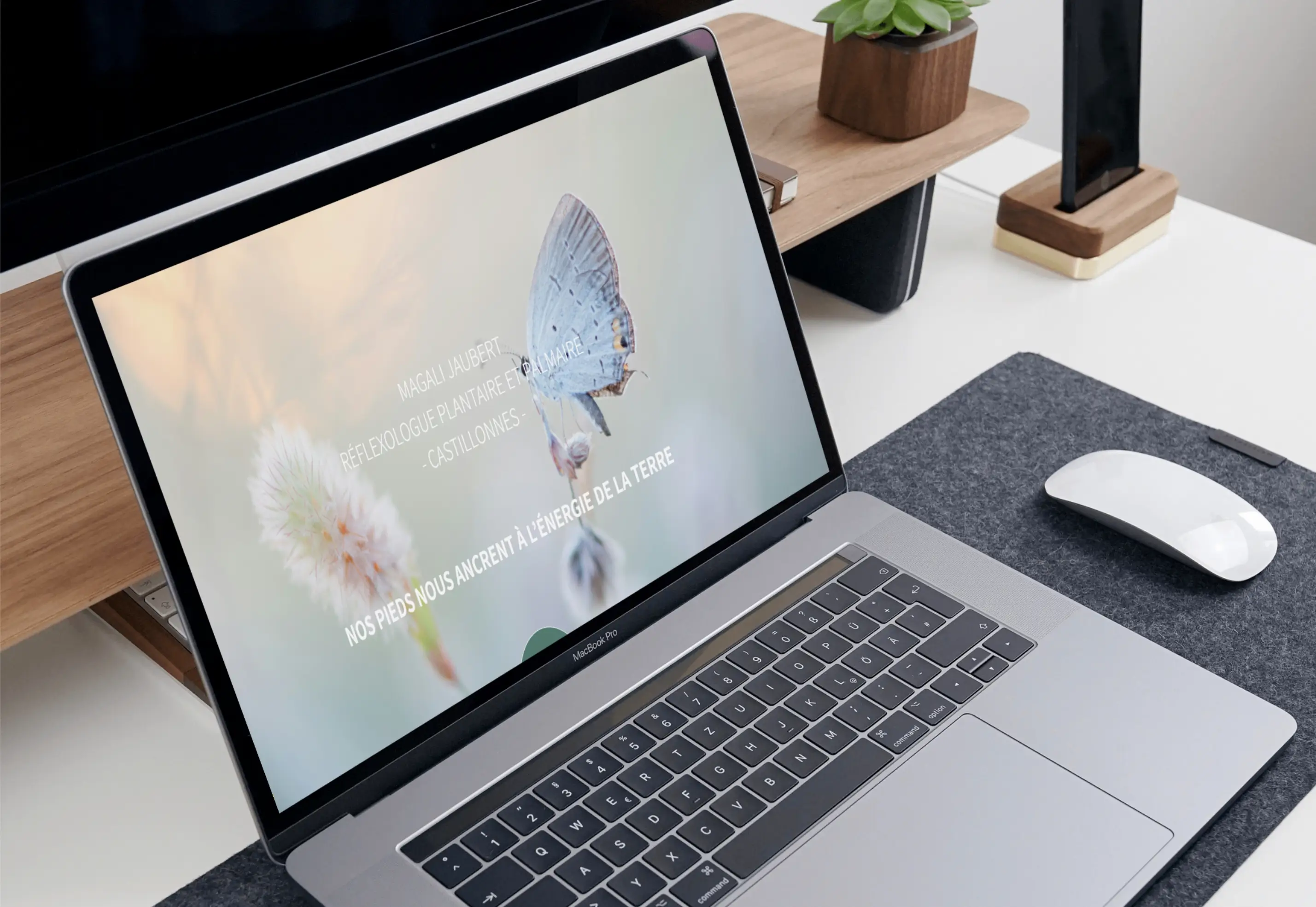 L'IMAGO REFLEXO — visuel 5